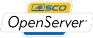 OpenServer